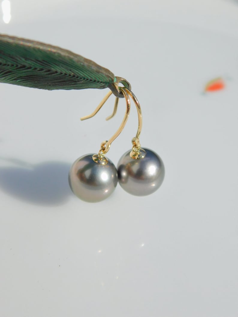May include: A pair of silver pearl earrings with gold hooks. The pearls are round and smooth.