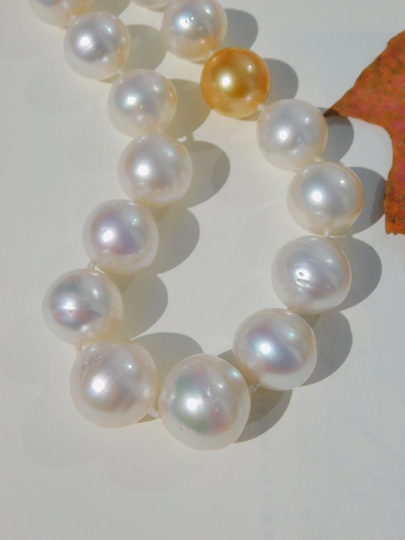 Perle Bianche in Conchiglia Fotografia Stock - Immagine di circolare