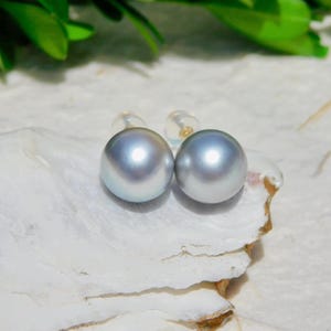 10.5mm AAA Tahitian Pearl Studs: Light Gray Solid  18K Gold