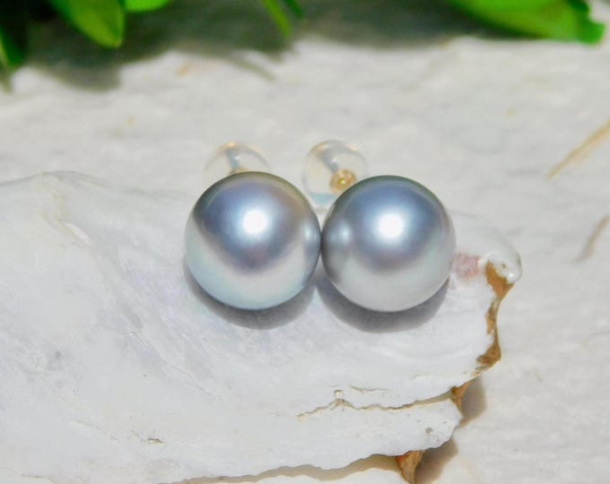 10.5mm Light Gray Tahitian Pearl Studs | AAA | Round | Solid 18K Gold Studs | Saltwater Pearl Studs | Light Tone Tahitian | Pearl Studs