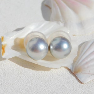 May include: A pair of lustrous, gray pearl stud earrings. The earrings are displayed on a white seashell with delicate pink and white accents. The background is a textured, off-white surface.