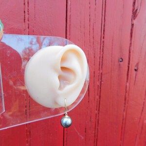May include: A single black pearl earring with a gold hook. The earring is displayed on a clear plastic ear model.