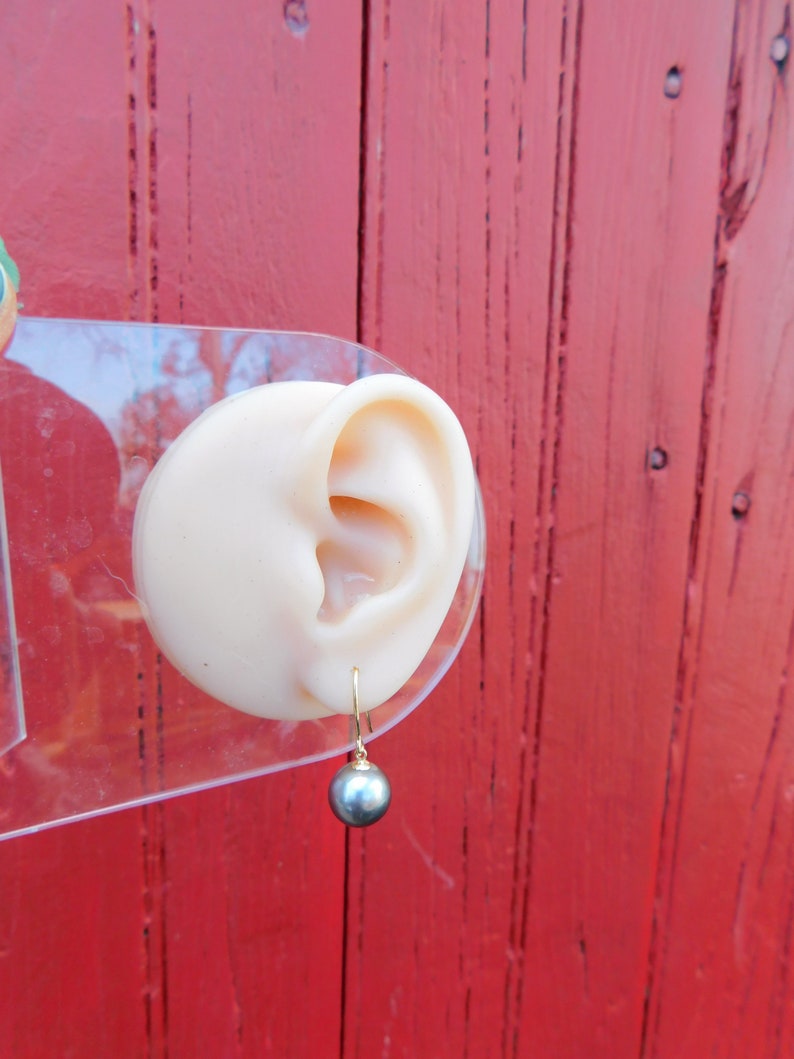 May include: A single black pearl earring with a gold hook. The earring is displayed on a clear plastic ear model.
