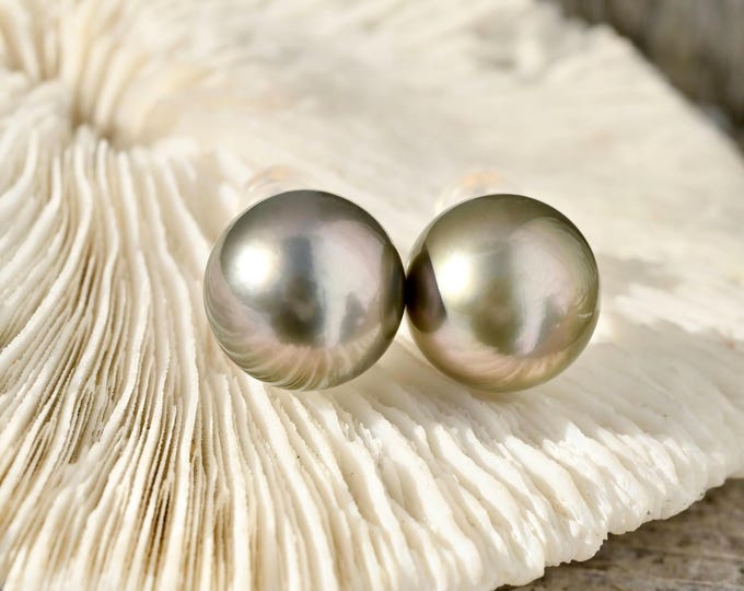 Medium Pistachio Gray Tahitian Gold Studs: 11.9mm, AAA, Solid 18K Gold