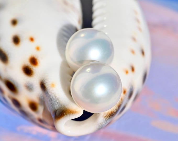 12.8mm Freshwater Pearl Studs: Solid 18K Gold, Large White Pearl Studs, AAA