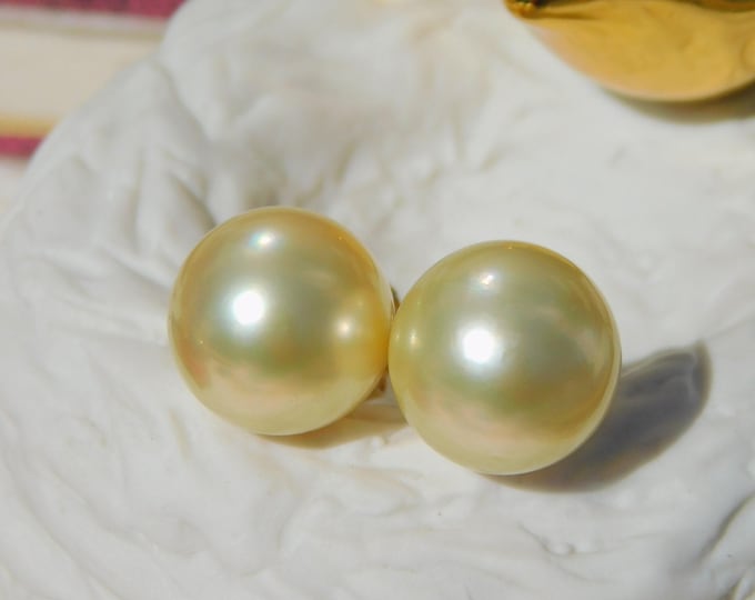 13.8mm Light Golden South Sea Pearl Studs  | AAA | Cream | Round | Solid 14K Yellow Gold Studs Large Backs | Big South Sea Pearl Gold Studs