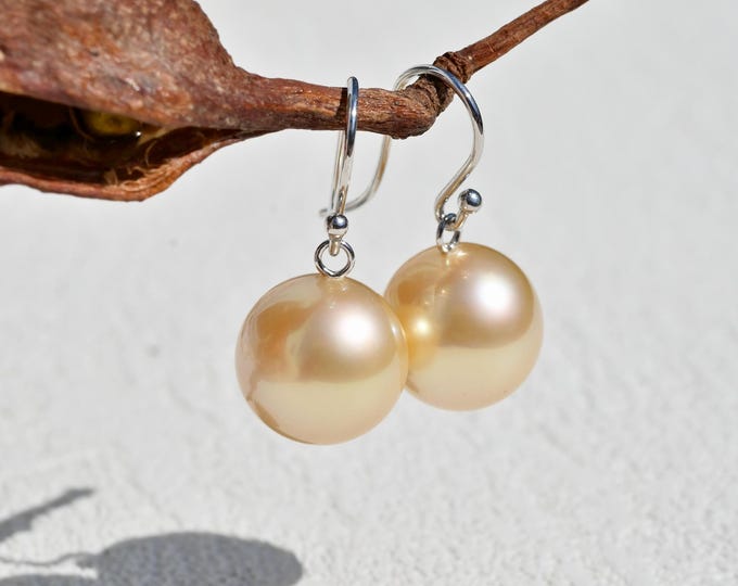 13.3mm Light Golden South Sea Pearl Earrings: Solid 14/18K White Gold, AAA, Cream