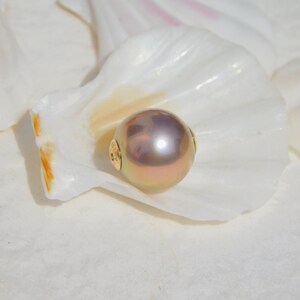May include: A large, iridescent pearl with a gold clasp, resting inside a white seashell.
