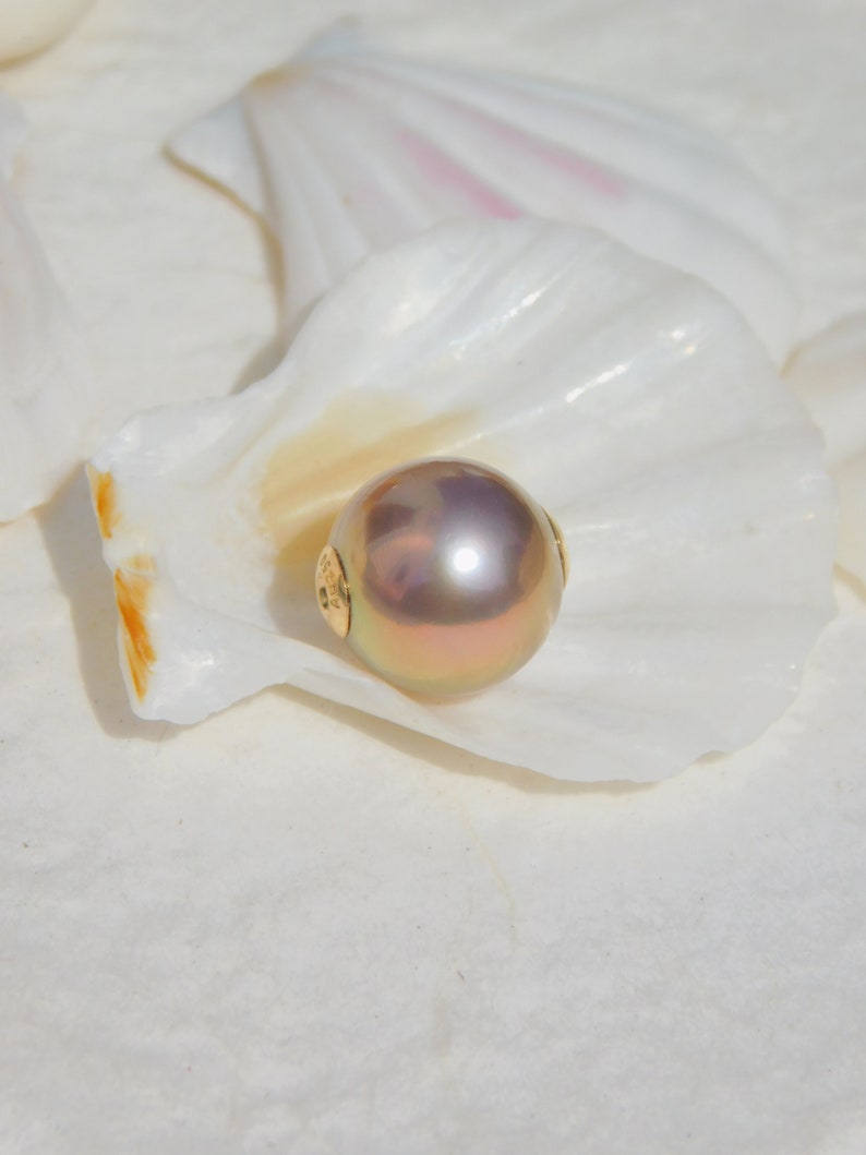 May include: A large, iridescent pearl with a gold clasp, resting inside a white seashell.