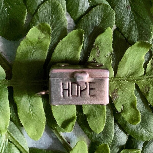 Hope Chest Etsy