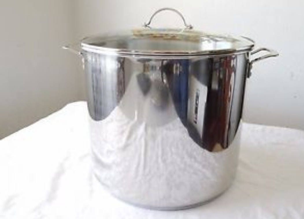 12 QT. STAINLESS STEEL PRINCESS HOUSE POT