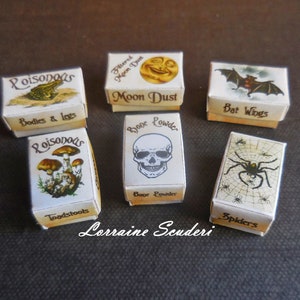 Halloween Kits ~ Bone Powder, Bat Wings, Toad Stools, Frogs, Moon Dust & Spider Boxes ~ Dollhouse Miniature