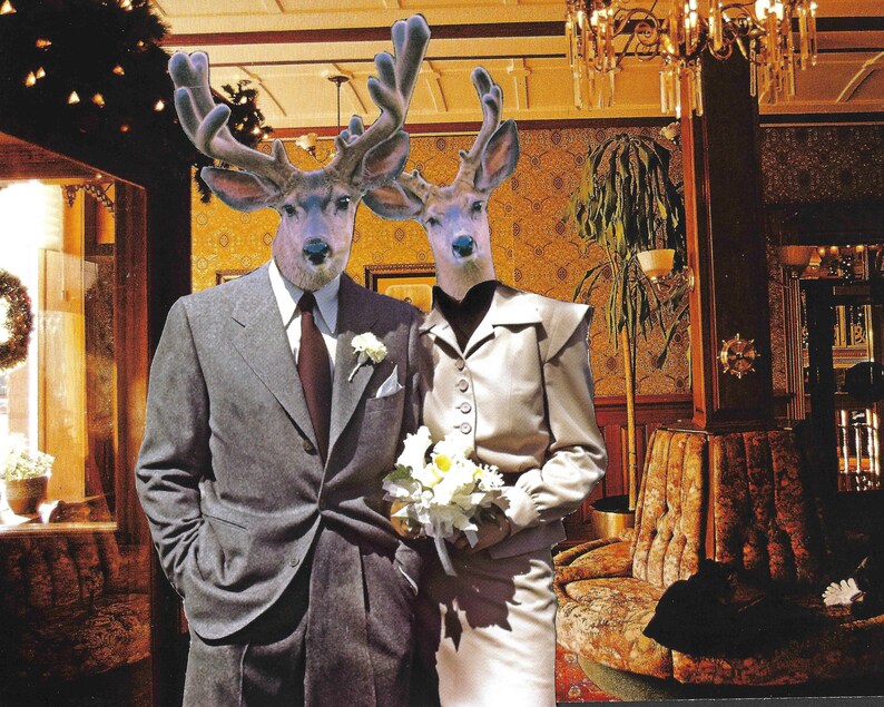 My Deer. Merry Christmas