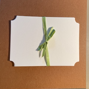 Flower Press Blotter Paper