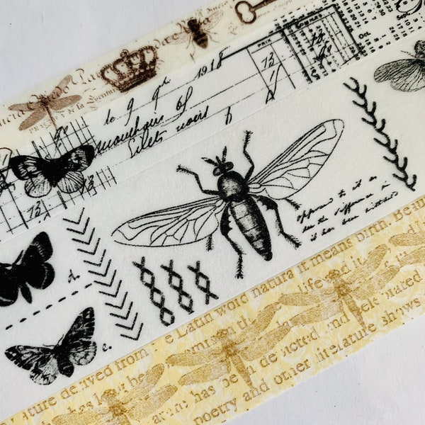 Dragonfly, beetle, butterfly, butterflies, botanicals, encyclopedia, specimen, insects, collage, vintage, script, washi tape, SAMPLE