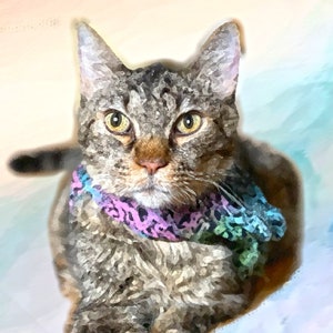 Custom Cat Portrait, Custom Cat Memorial, cat portrait from photo, custom cat portrait,  cat canvas, cat memorial, hand painted