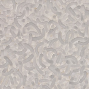 May include: Close-up of white shredded coconut.