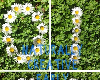 Daisy Number Printables 0-3: Preschool Learning (A4 PDF)