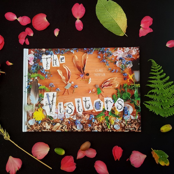 THE VISITORS HARDBACK picture book A4 larger size wordless story loose parts natural materials art fairies garden gift for child book nature