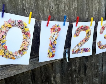 Flower Petal Number Printables 0-3: Preschool Learning (A4 PDF)