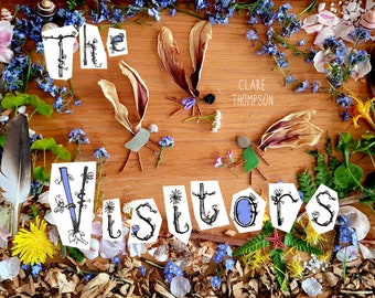 THE VISITORS PICTUREBOOK A5 libro impreso sin palabras de tapa blanda para inspirar el juego de piezas sueltas con materiales naturales regalo de hadas para libros infantiles