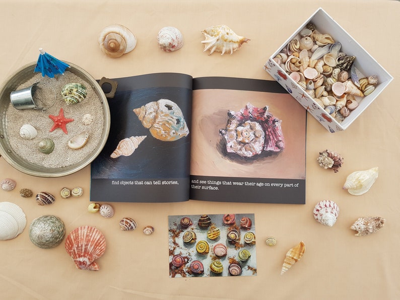 May include: A book with the text "find objects that can tell stories, and see things that wear their age on every part of their surface."  The book is open to a page with illustrations of seashells.  There are many seashells scattered around the book, including a small bowl filled with sand and seashells.