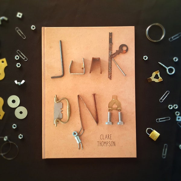 JUNK DNA hardback A4 wordless picture book loose parts play scrap metal tinkering steampunk gift child robots