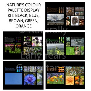 May include: A set of six color palettes inspired by nature. Each palette features a different color, including black, blue, brown, green, and orange. Each palette includes a variety of natural elements, such as flowers, leaves, and rocks.