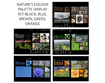 Nature&#39;s Colour Palette CLASSROOM DISPLAY digital DOWNLOADS files for teachers indoor outdoor displays children learning nature colour
