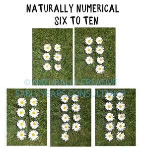 May include: A set of five images showing the numbers six through ten, represented by white daisies on a green grassy background. The text "NATURALLY NUMERICAL SIX TO TEN" is at the top of the image.