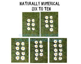 Naturally Numerical 6-10 printable downloads DAISY NUMICON inspired counting TEACHING numeracy number line outdoor natural early years play