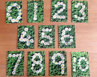 Daisy Numeral Flashcards 0-10: Kids Learning Games
