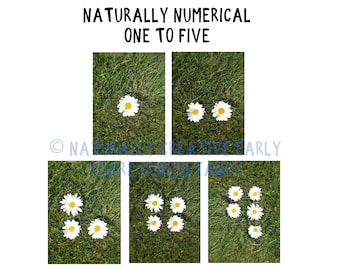 Naturally Numerical 1-5 printable downloads DAISY NUMICON inspired counting TEACHING numeracy number line outdoor indoor natural early years