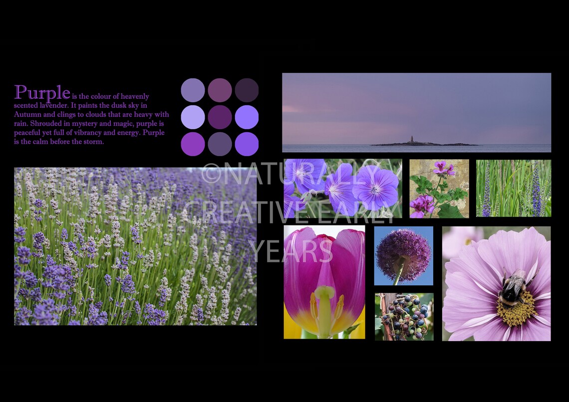 Nature's Colour Palette Classroom Display: Printable Learning (digital ...