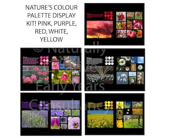 Nature&#39;s Colour Palette CLASSROOM DISPLAY digital DOWNLOADS files for teachers indoor outdoor displays children learning nature colour