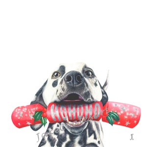 Um biscoito de Natal