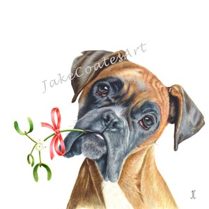 May include: A brown and white boxer dog with a black nose and brown eyes is holding a sprig of mistletoe with a red ribbon in its mouth. The dog is looking at the viewer with a playful expression.