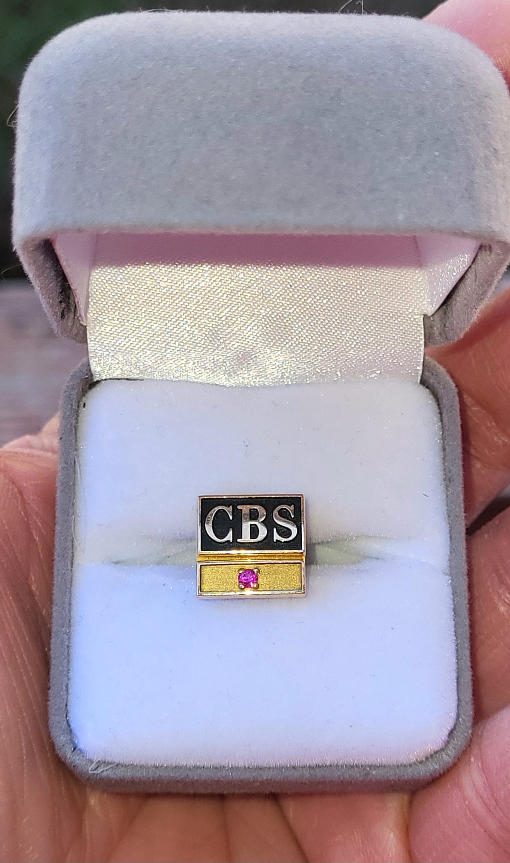 Rectangular Ceo Pin Rare Estate Find Vintage CBS Television Corporate Executive Employee ...