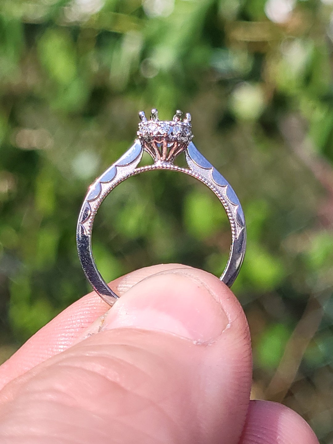 Rare Estate Encuentra nueva condicion Oro blanco de 18 k genuino Tacori Coastal halo anillo de compromiso para damas montaje Impresionantes diamantes VER VIDEO Etsy Mexico