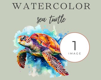 Aquarell Meeresschildkröte Clipart, Aquarell Clipart, kommerzielle Nutzung, Einzel PNG, Meeresschildkröte PNG, Schildkröte Clipart