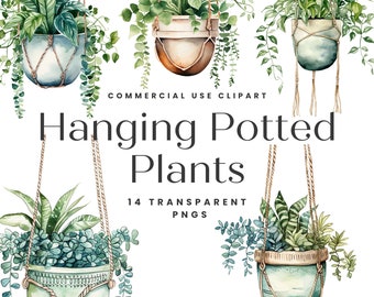 Hängande växt Clipart, hängande krukväxter, växt Clipart, akvarell växt PNG, växt Clipart paket, kommersiell clipart