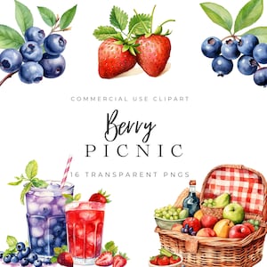Picnic Clipart, Berry Picnic Watercolor Clipart, Summer Clipart, Summer Picnic Clipart, Clipart for Commercial Use, Summer PNG