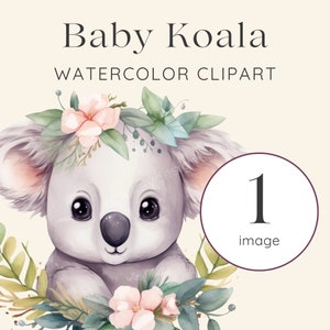 Baby Koala Clipart, Watercolor Koala Clipart, Koala PNG, Nursery Clipart, Baby Shower Invite Clipart, Baby Koala, Commercial Clipart