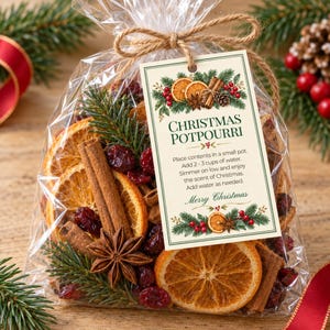 Op de afbeelding: Een doorzichtige plastic zak gevuld met kerstpotpourri met gedroogde sinaasappelschijfjes, kaneelstokjes, steranijs, veenbessen en dennentakjes. Een rechthoekig label met instructies is bevestigd met een touwtje.