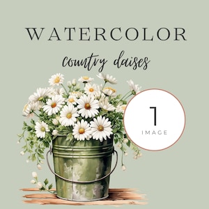Watercolor Daisies Clipart, Flower Clipart, Clipart Png, Summer Floral Clipart, Daisies Bouquet Png, Spring Floral Png, Commercial Clipart