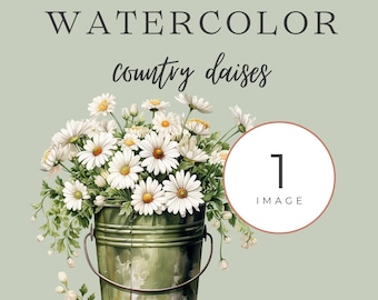 Watercolor Daisies Clipart, Flower Clipart, Clipart Png, Summer Floral Clipart, Daisies Bouquet Png, Spring Floral Png, Commercial Clipart