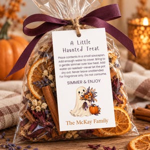 Puede incluir: Una bolsa de plástico transparente con rodajas de naranja secas, ramas de canela y pétalos de flores, atada con una cinta morada oscura. Una etiqueta blanca dice A Little Haunted Treat con instrucciones y un dibujo de un fantasma.