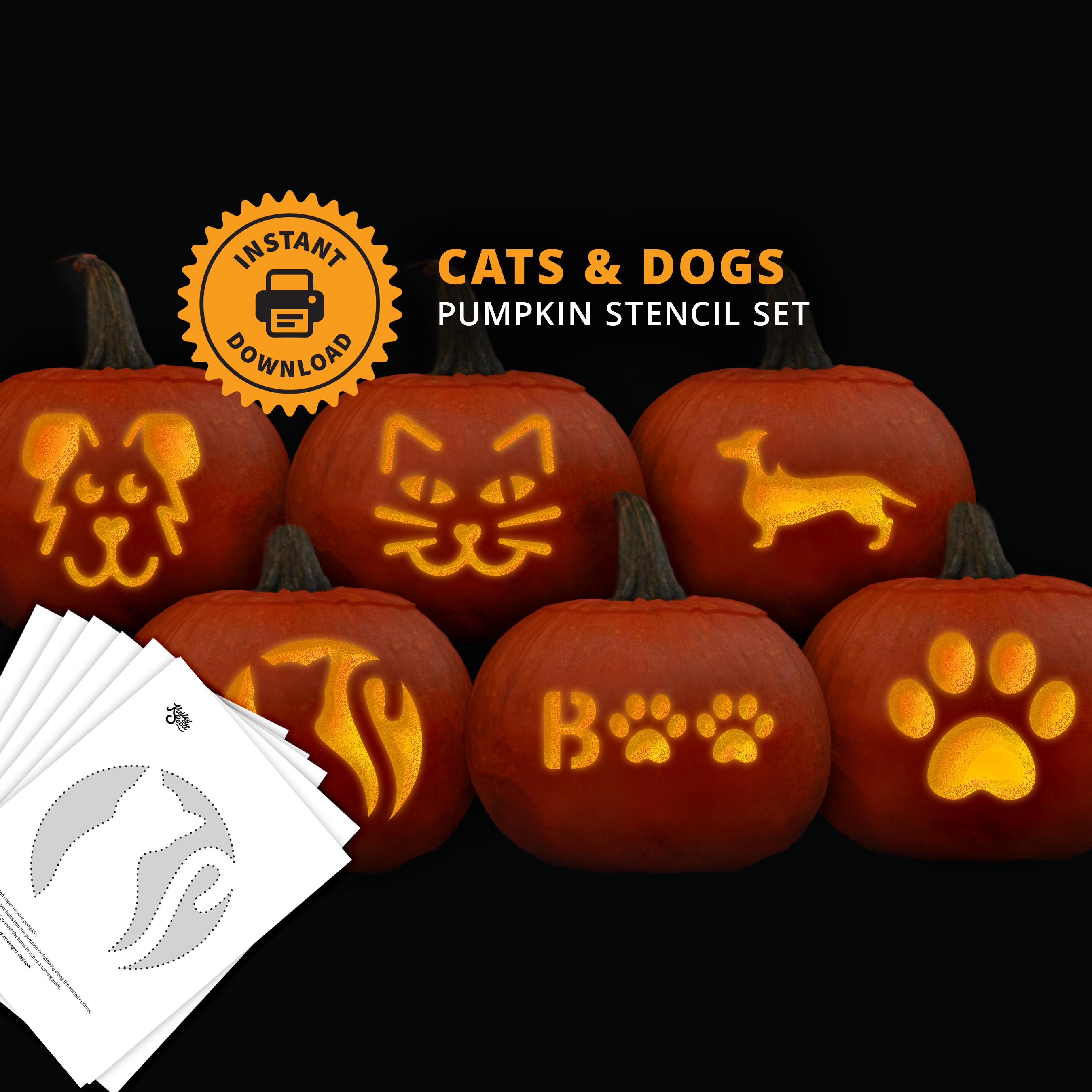 2-teiliges Halloween Halstuch Für Hunde - Kürbis & Spinnennetz Design