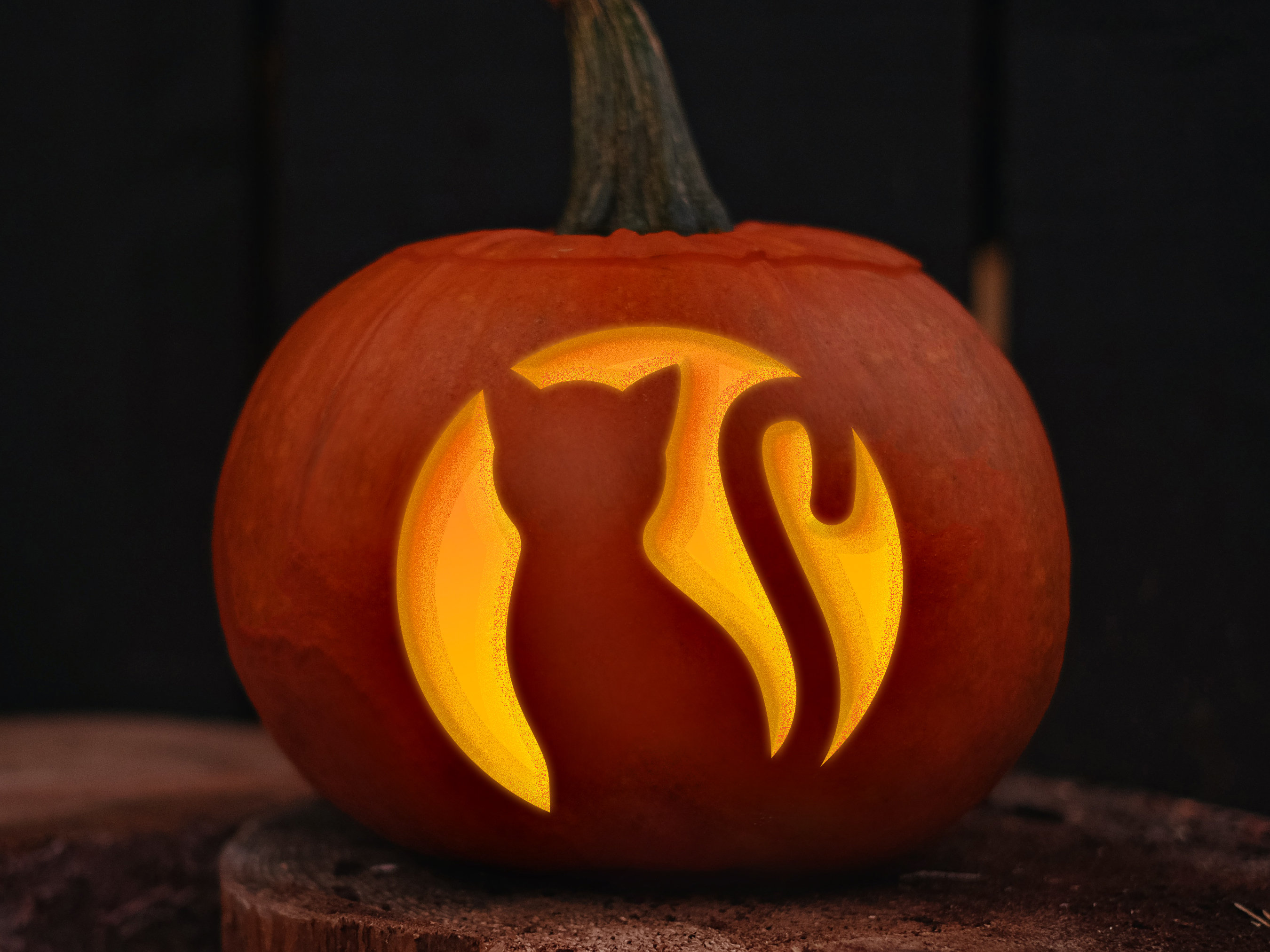 Pumpkin Stencils Cat pumpkin-stencils-cat
