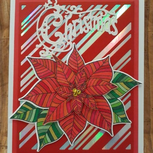 Weihnachtsstern Streifen Rot